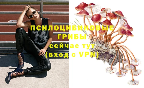 твердый Абдулино