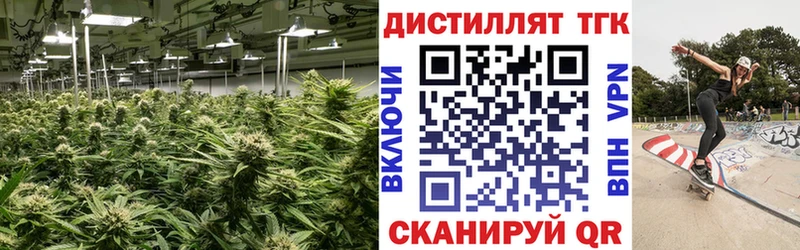 Дистиллят ТГК жижа  OMG зеркало  Шали 