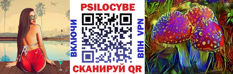 сколько стоит Шали Галлюциногенные грибы мицелий