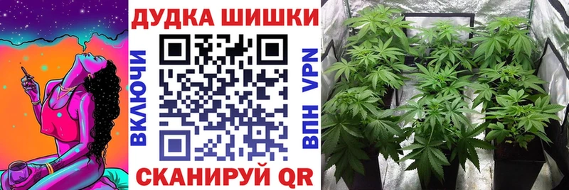 Марихуана SATIVA & INDICA  закладка  Шали 